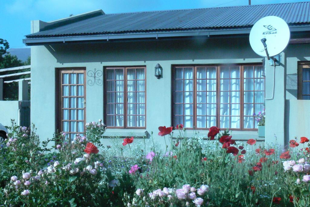 Aspen Guest House Clarens Rum bild