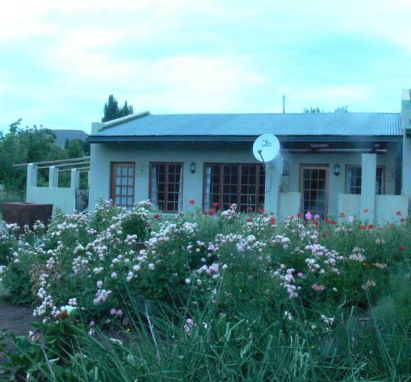 Aspen Guest House Clarens Rum bild