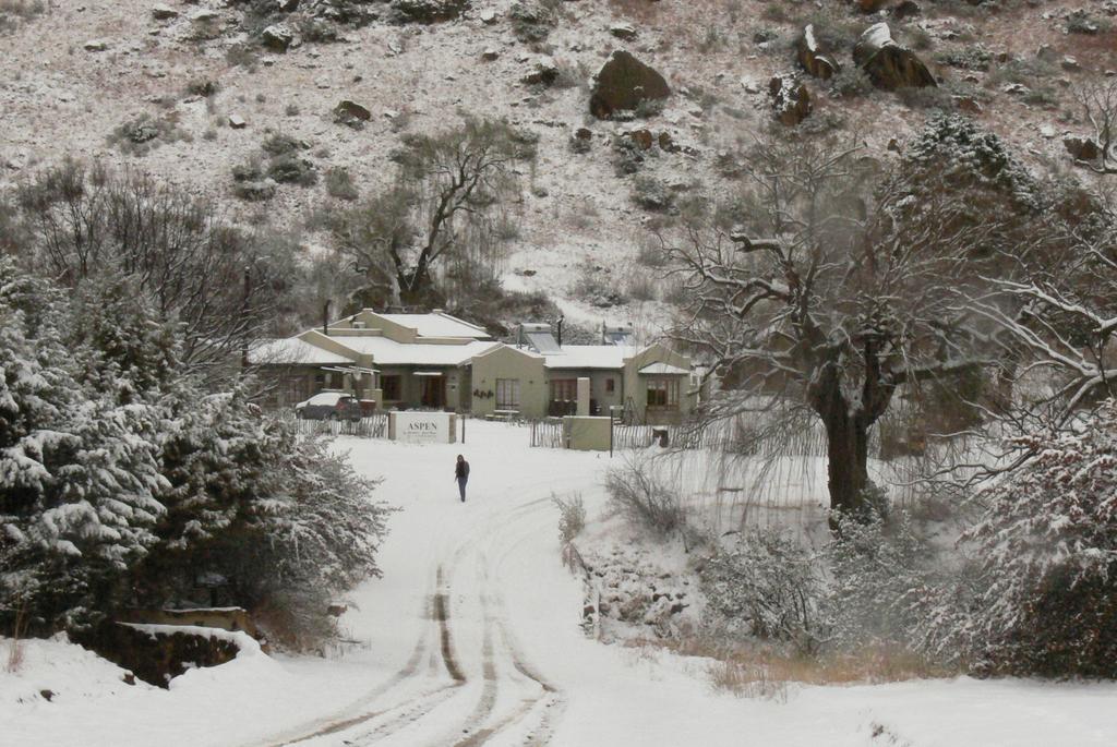Aspen Guest House Clarens Exteriör bild