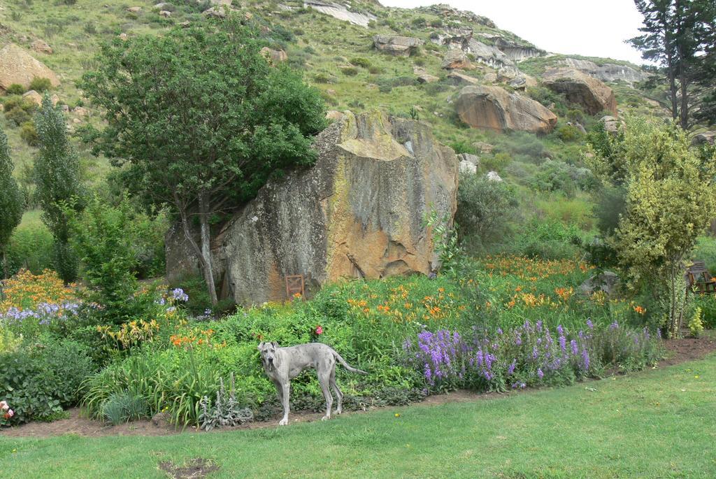 Aspen Guest House Clarens Exteriör bild