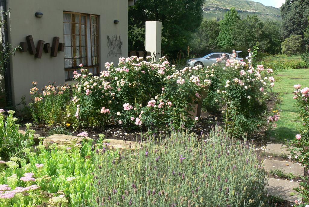 Aspen Guest House Clarens Exteriör bild